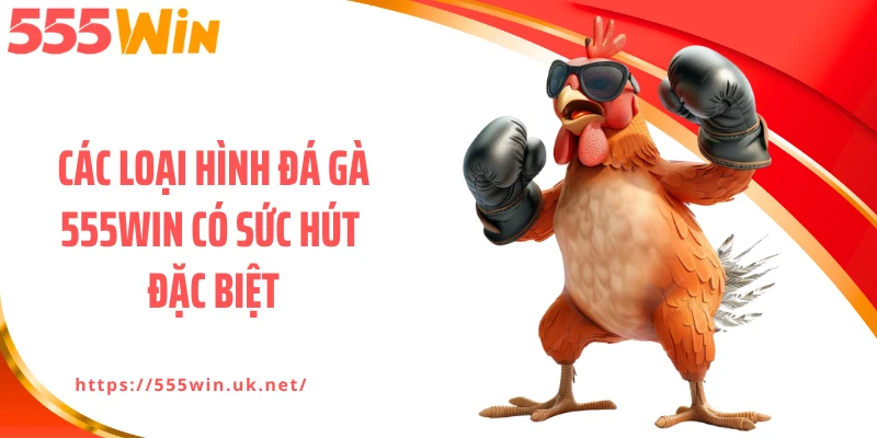 Các loại hình đá gà 555WIN có sức hút đặc biệt