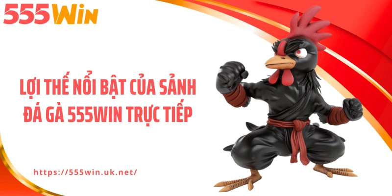 Lợi thế nổi bật của sảnh đá gà 555WIN trực tiếp