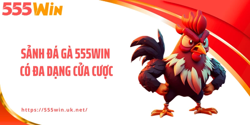 Sảnh đá gà 555WIN có đa dạng cửa cược
