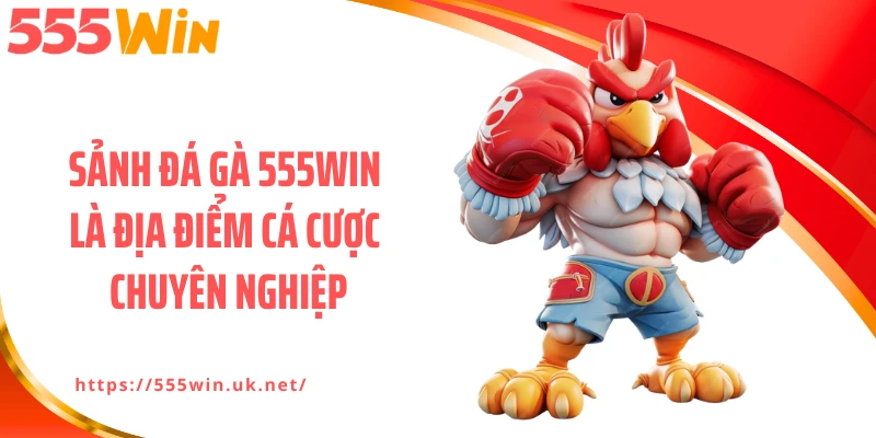 Sảnh đá gà 555WIN là địa điểm cá cược chuyên nghiệp